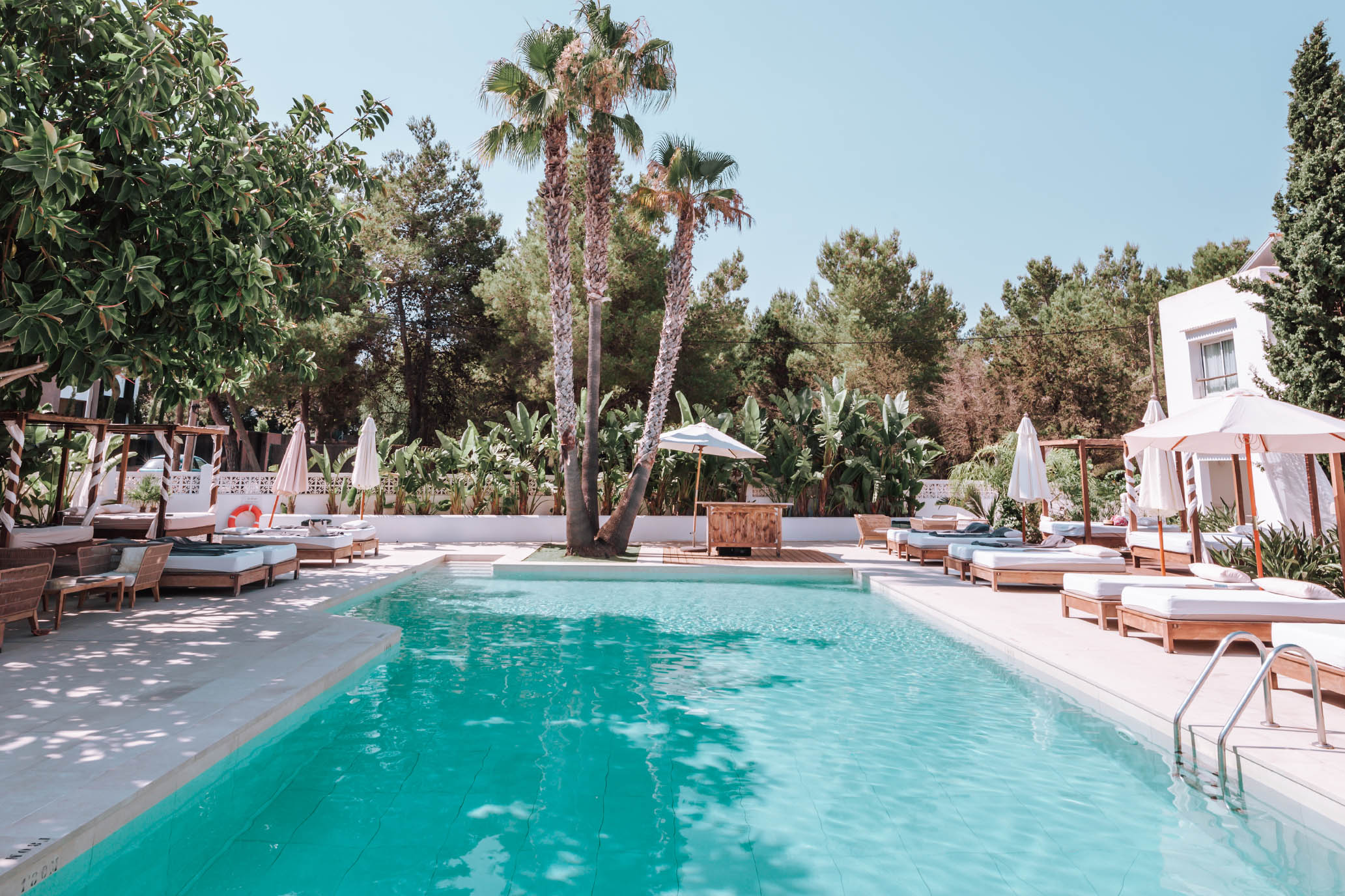 Galería Hotel Boutique & Spa las Mimosas Ibiza