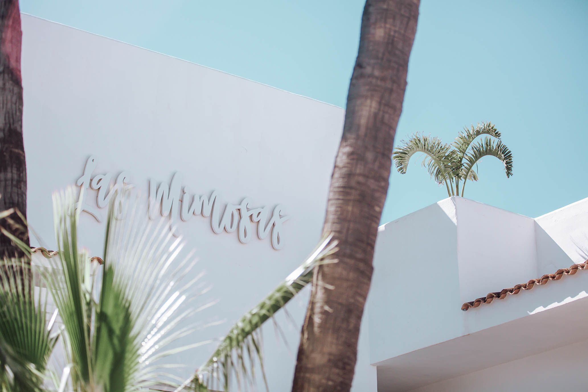 Galería Hotel Boutique & Spa las Mimosas Ibiza
